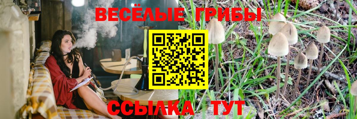Галлюциногенные грибы мицелий  Вход с VPN  Пугачёв 