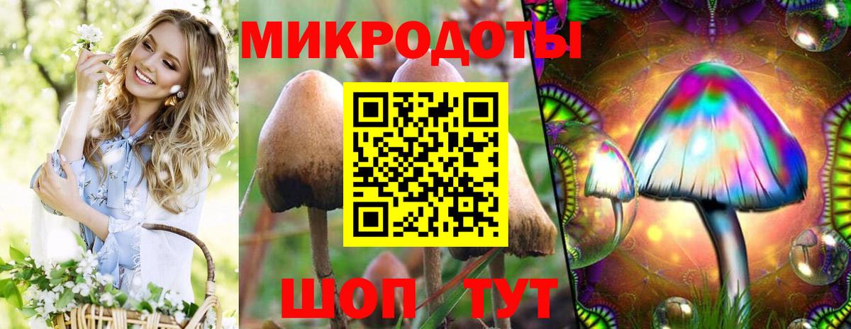 Галлюциногенные грибы Psilocybine cubensis Пугачёв
